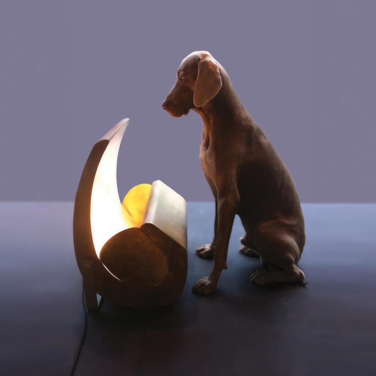 Escargot Floor Lamp by Nemo Floor Lamps